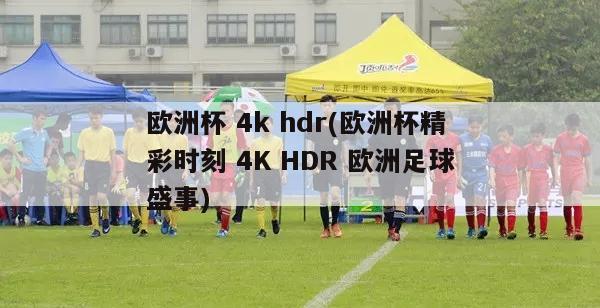 欧洲杯 4k hdr(欧洲杯精彩时刻 4K HDR 欧洲足球盛事)